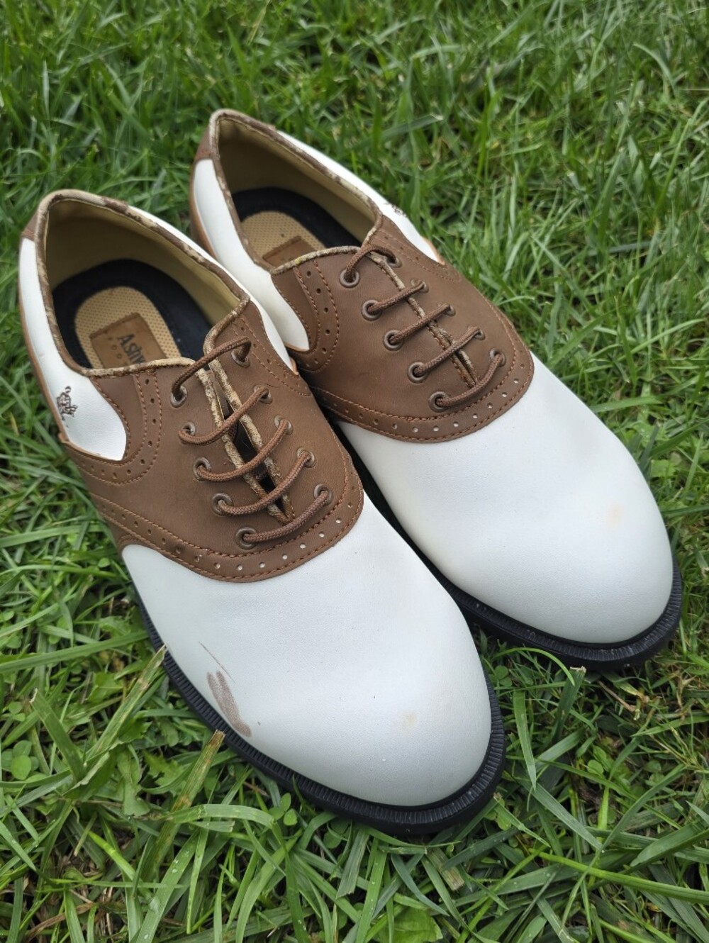 Ashworth Two-Tone Golf Shoes